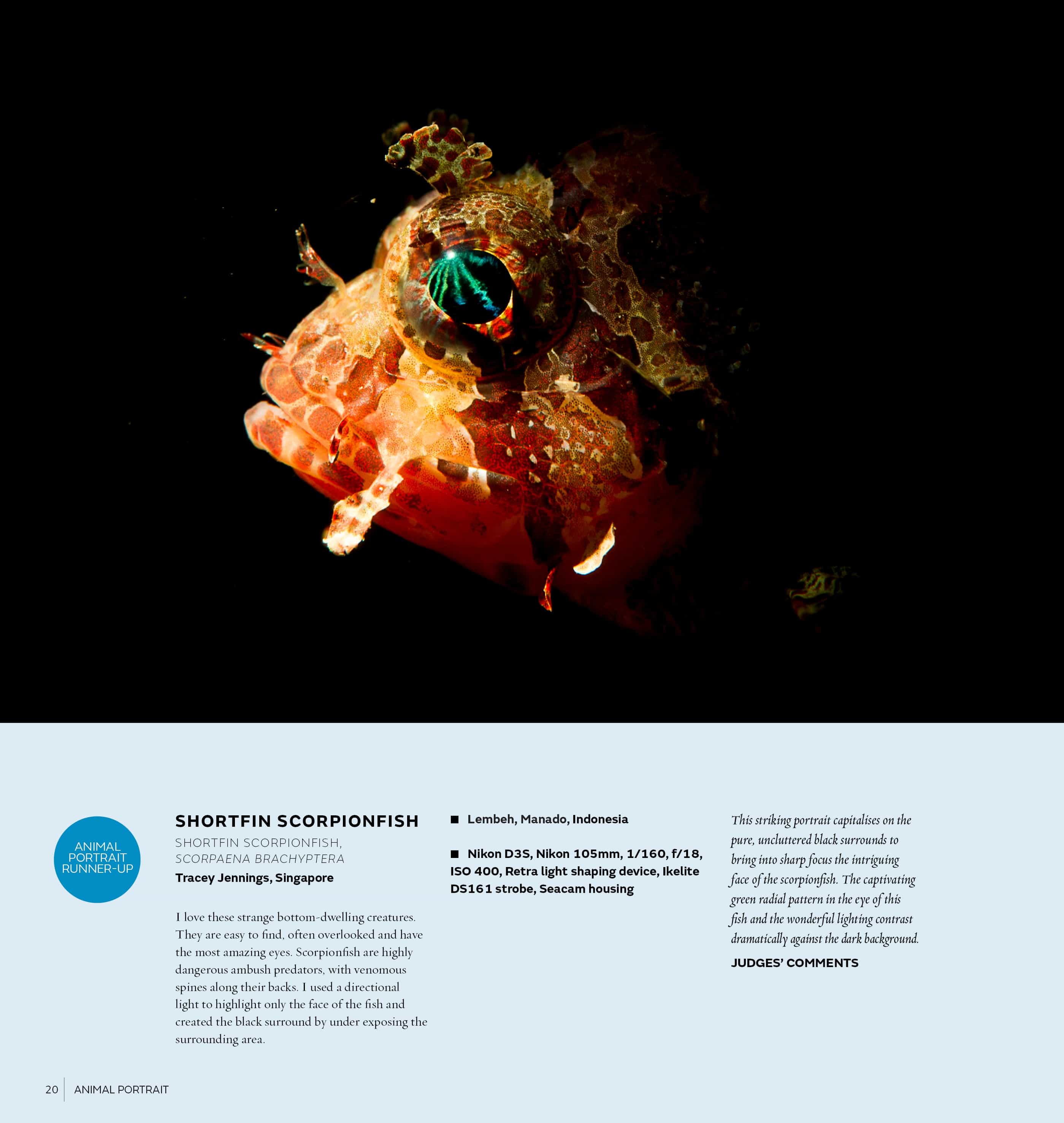 Australasian Nature Photographer of the Year Book 2017 (14th edition) - Image 3