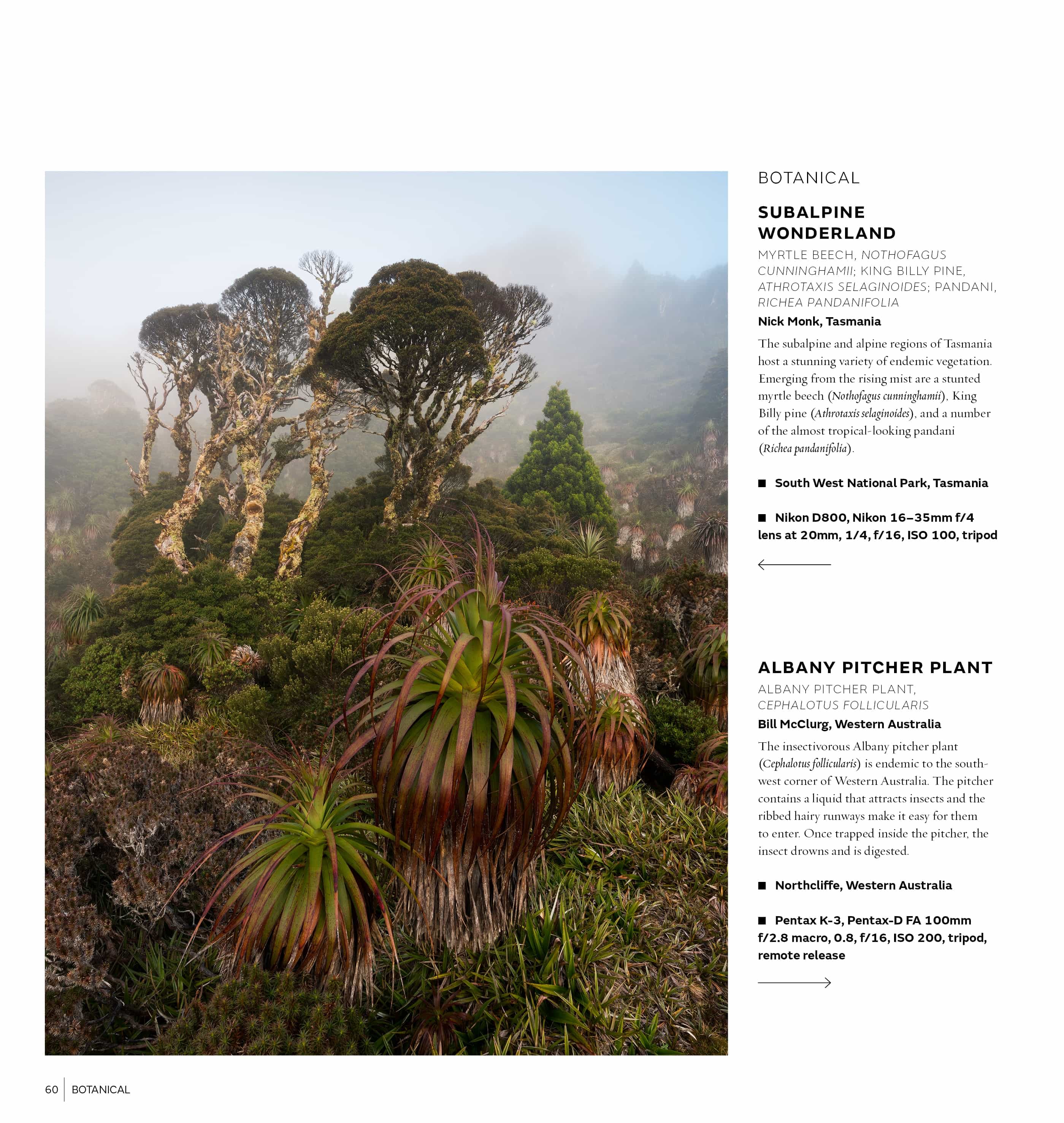 Australasian Nature Photographer of the Year Book 2017 (14th edition) - Image 4