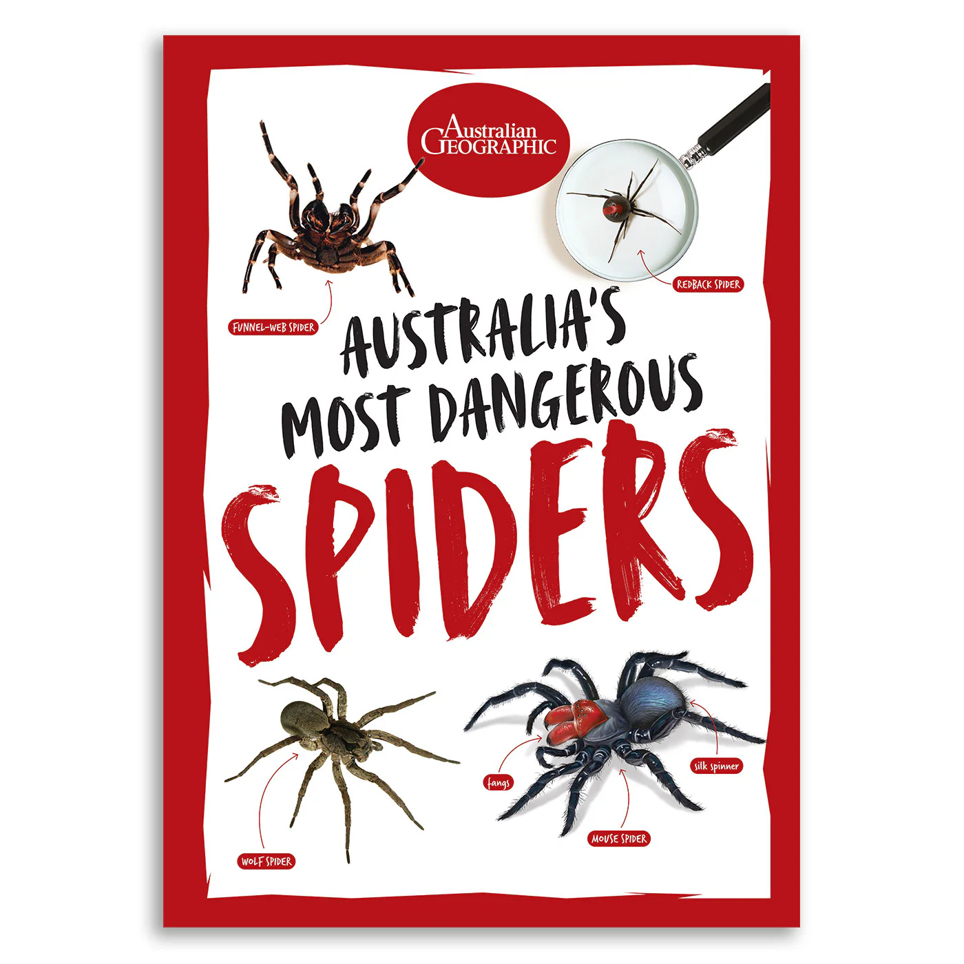 Books - New Releases