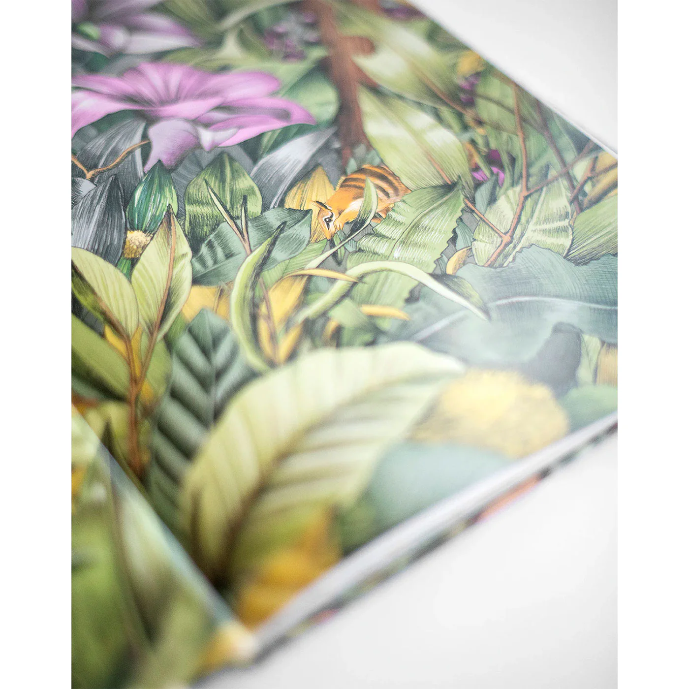 Nelly the Numbat Search & Find Book - Image 6