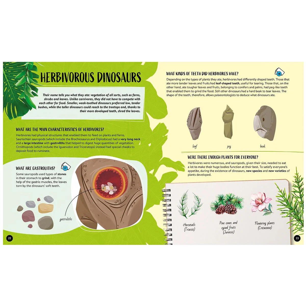 Sassi Dinosaurs Ultimate Atlas - Image 3