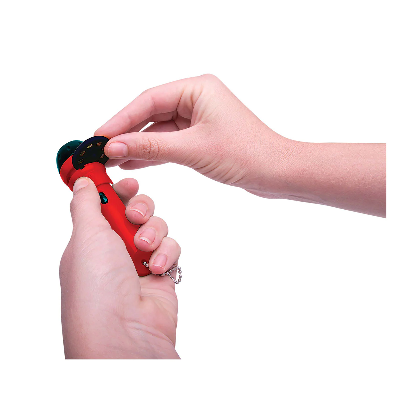 Discovery Zone Torch Projector - Wild Things that Bite and Sting - Image 3